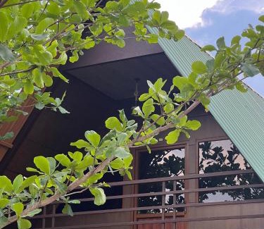 Mysore Resort | Jungle flare