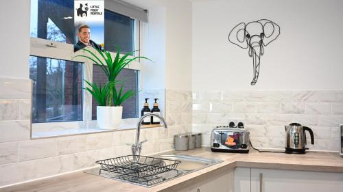 Bedford Bed & Breakfast | Jungle King Suite with Parking