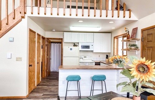 Fairplay Cabin | Just Renovated! Cozy Cabin backed by Aspens, Pet Friendly/Family Friendly - Aspen Acres