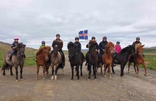 Reykholt House | Kópareykir Cottage