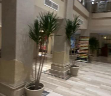 Sidi Jabir Apartment | Kafr Abdo Luxury Home