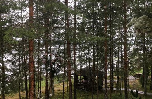 Kosalma Hotel | Kalevala Hotel