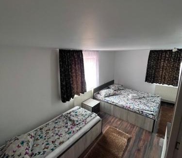 Praid House | Kami&Reni