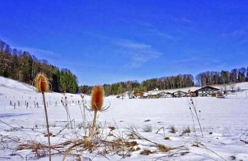 Aschau im Chiemgau House | Kampenwand view