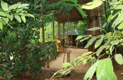 Primrose House | Kandy Eco Retreat