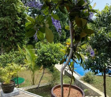 Kosgoda Hotel | Karisa Nature Villa