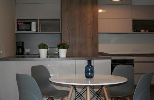 Rohansky ostrov Apartment | Karlín Apartment