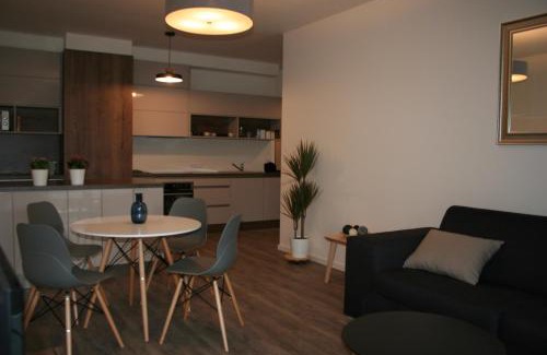 Rohansky ostrov Apartment | Karlín Apartment