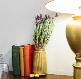 Graaff-Reinet Apartment | KAROO RANCHING Townhouse