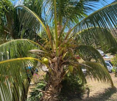 Anse des Rochers Apartment | Karpé diem
