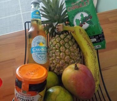 Pointe-a-Pitre Apartment | Karukera Lodge