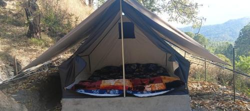 Almora Cabin | Kasar jungle camp