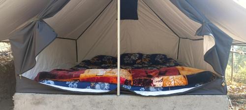 Almora Cabin | Kasar jungle camp