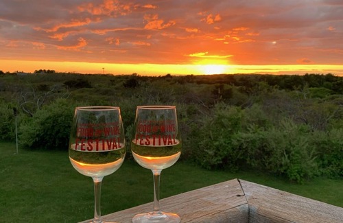 Katama House | Katama home with cove & ocean views. Surround yourself with nature and birdsong!