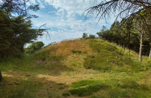 Trans House | Kathøje