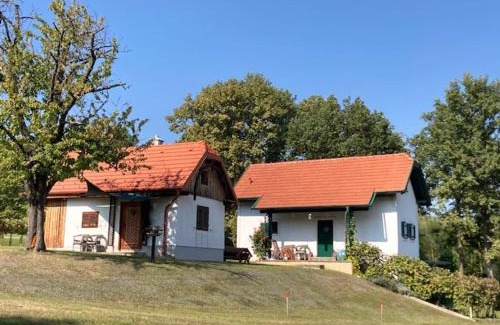 Eberau House | Kellerstöckl Postrumer Weinberg 48