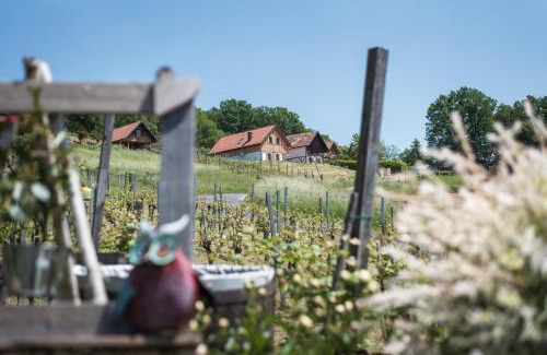 Eltendorf House | Kellerstöckl Uhudlerei 39