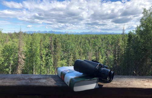 Sterling House | Kenai Wildlife Cabin - Cozy log home with mountain views. Pet friendly!