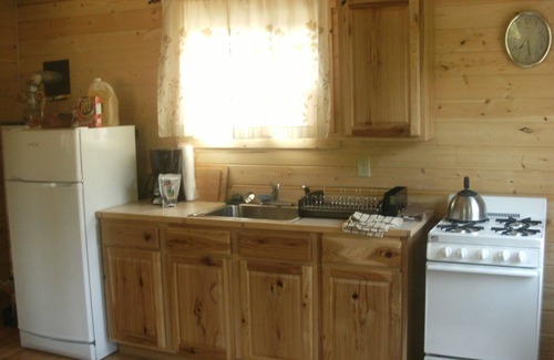 McCarthy Cabin | Kennicott-Mt.Blackburn B&B