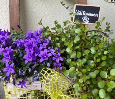 Kurtatsch an der Weinstraße Apartment | Kerschbamerhof im Süden Südtirols