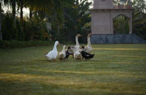 Chittorgarh Hotel | Kesar Bagh Palace Chittorgarh