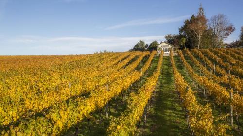 Tasman House | Kina Beach Cottages