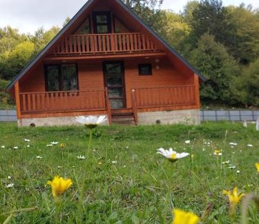 Khoni House | Kinchkha cottage Fshuqebi - კინჩხის კოტეჯი ფშუქები