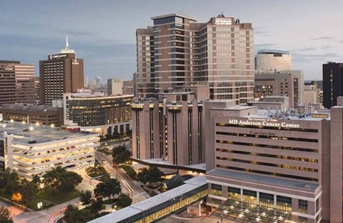 Astrodome Apartment | King 1 Bed 1 Bath | walk to NRG | near MD Anderson