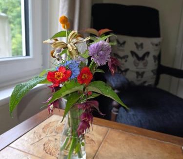 Ventnor Bed & Breakfast | Kingsmede Bed & Breakfast