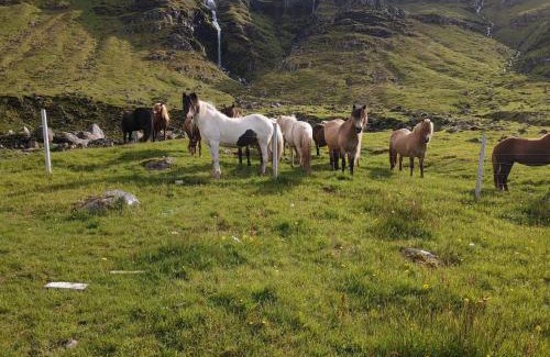 Grundarfjordur Apartment | Kirkjufell View Cottages