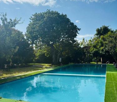 Bagamoyo House | Kiromo Zoo