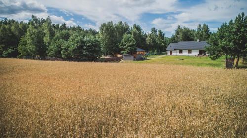 Nowe Miasto Lubawskie House | Kiton House