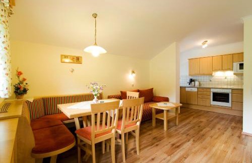 Grossarl Apartment | Kleinellmauhof