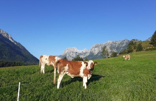 Ramsau bei Berchtesgaden House | Klettnerlehen