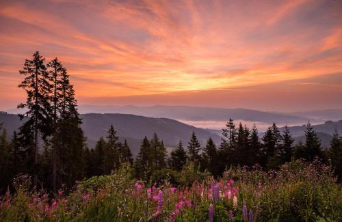 Bad Sankt Leonhard im Lavanttal Apartment | Klippitz Resort