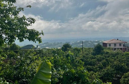 Kobuleti House | Kobuleti Village Guest House
