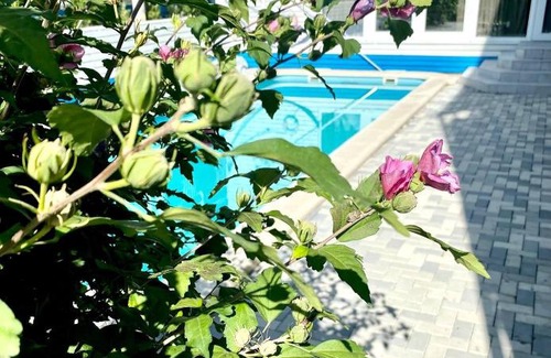 Gelendzhik House | Kontinent na Golyboy Buhte