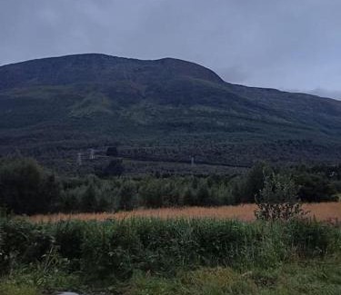 Bjerkvik House | kosebua