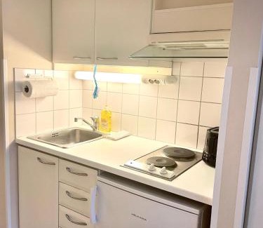 Turku Apartment | Kotimaailma Villa Hortus - Convenient studio for 2