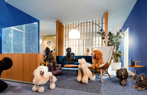 Rheindorf Hotel | Kristallhotel Fettehenne