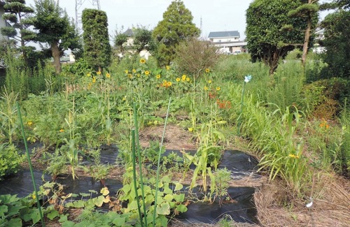 Mashiki House | Kumamoto Farm Stay Guest Room 2F - 2F/Kamimashiki-gun Kumamoto
