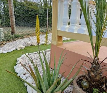 Willemstad House | Kunukuhuis Hofi Abundansia