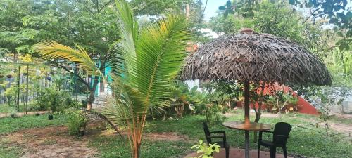 Mararikulam House | Kuttappy dreams