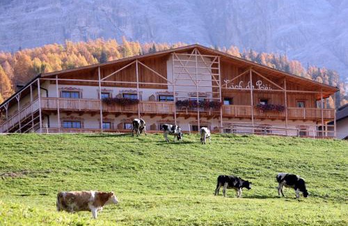 San Cassiano Hotel | Lüch Da Pćëi