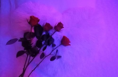 Saint-Christol-Les-Ales Bed & Breakfast | L'étincelle