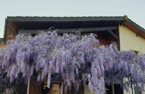 Mios Villa | L'Agapanthe