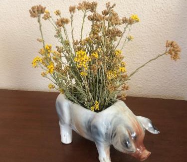 Alghero House | L’ Angolo degli Ortaggi