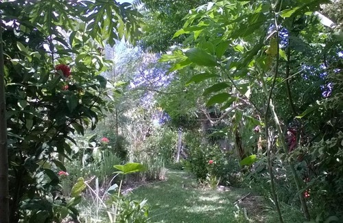 Saint-Joseph Bed & Breakfast | L'Arbre de Vie