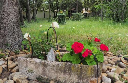 Sorgues Apartment | L'armas