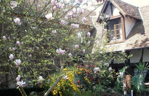 Saint-Florent Bed & Breakfast | L'Auberge Du Faisan Doré